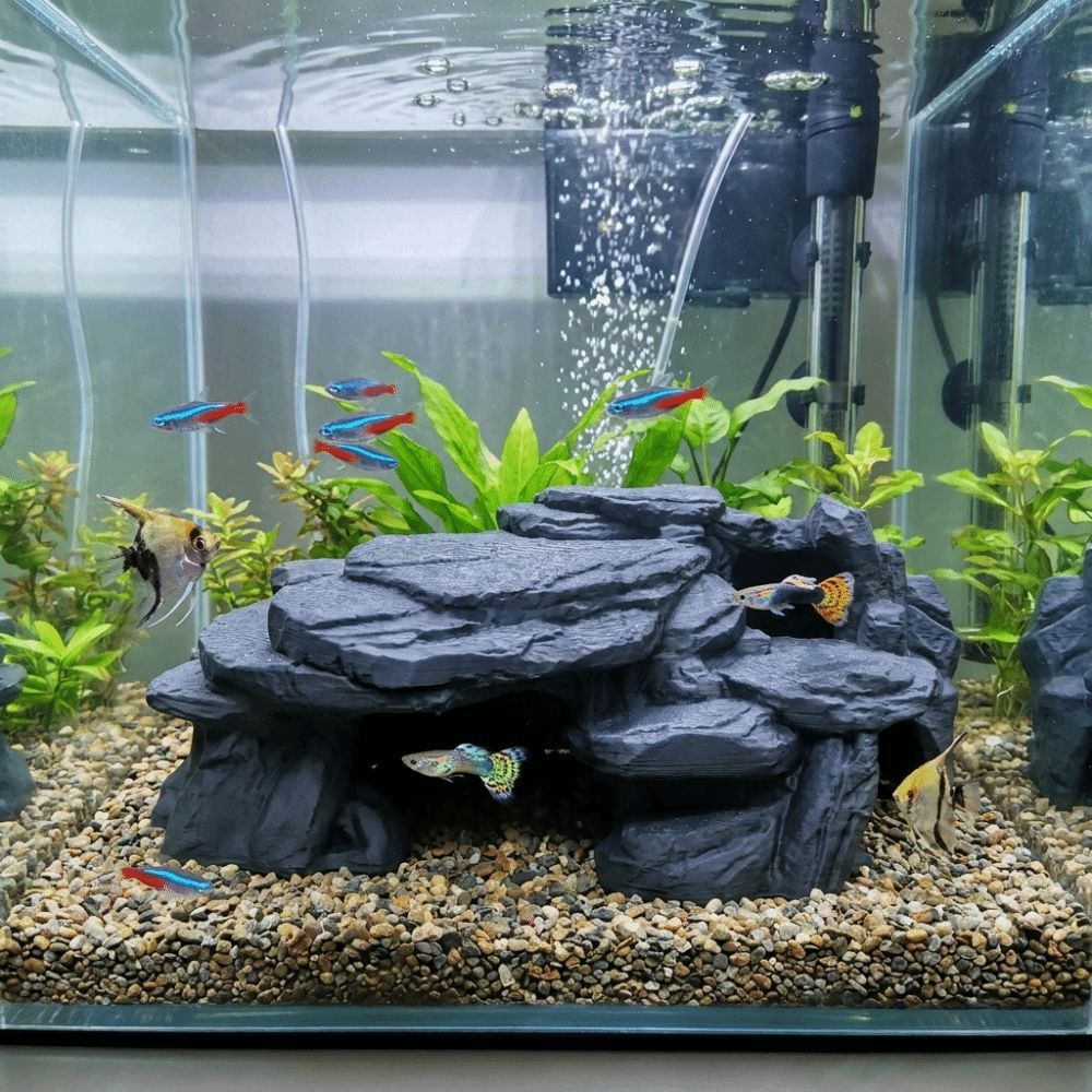 3D-печатные декорации для аква – обзор и цена Aquarium Marine Rock