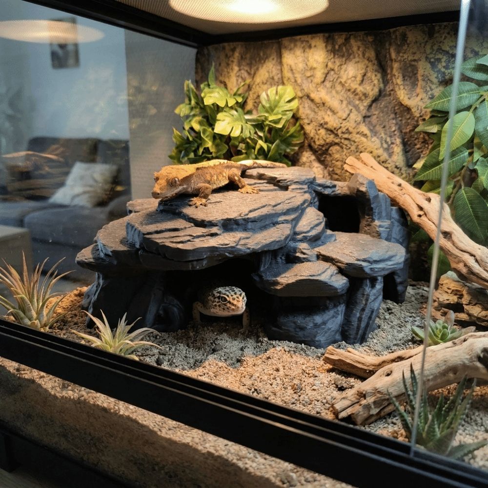 3D-печатные декорации для аква – обзор и цена Aquarium Marine Rock