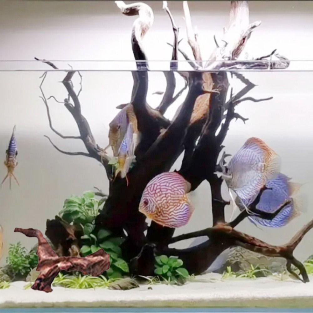 Креативные коряги из кораллово – обзор и цена Aquarium Marine Rock
