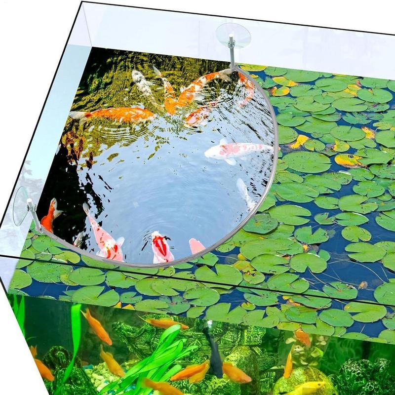 Плавающее кольцо для кормления – обзор и цена Aquarium Marine Filter